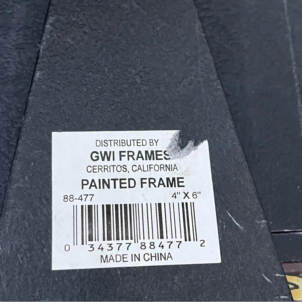 GWI Glass Picture Frame With Painted Flower Design For 4x6 Photo